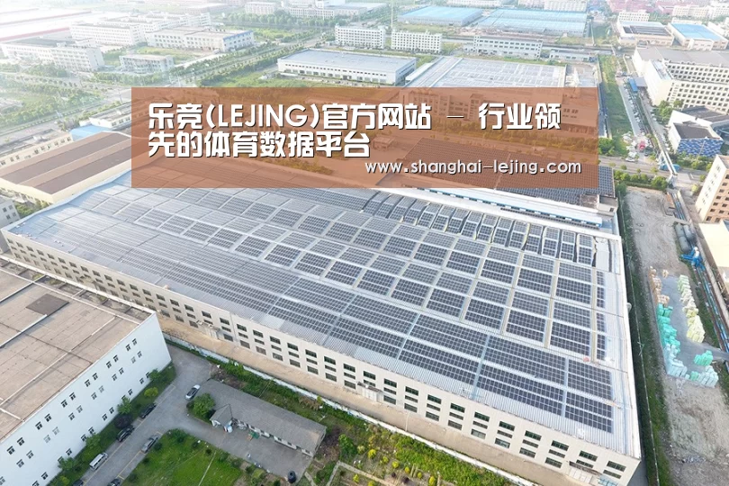 案例展示二