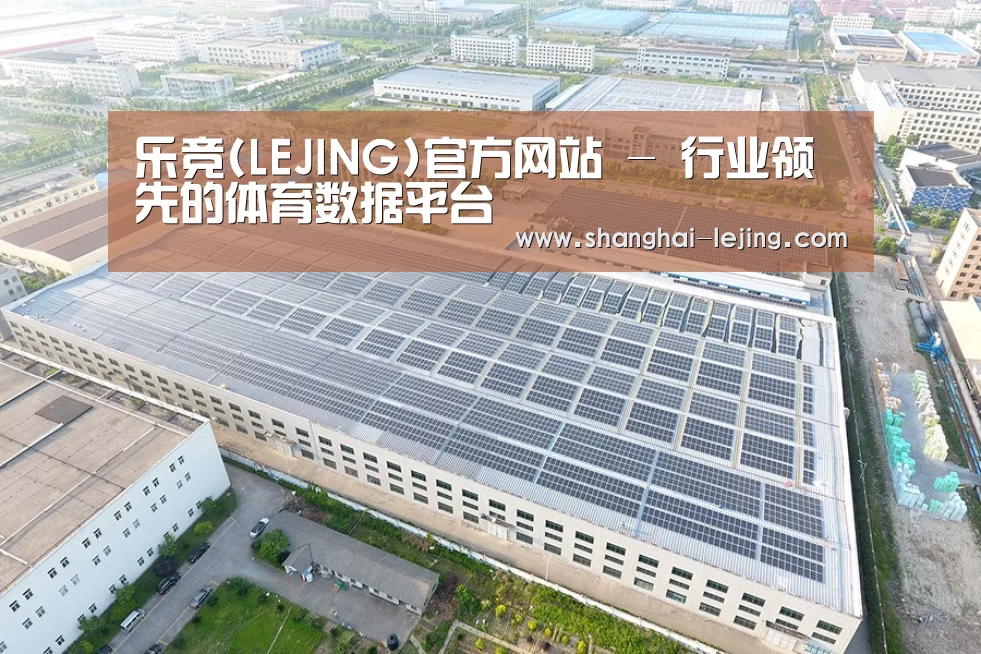 案例展示二