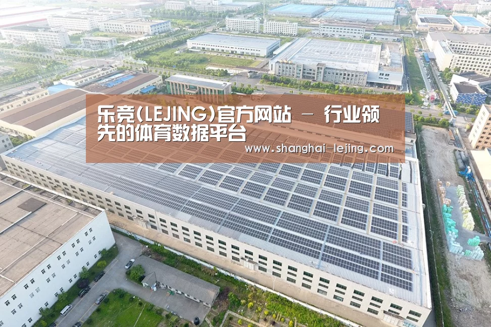 案例展示三