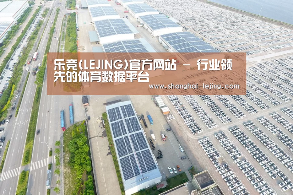 案例展示二