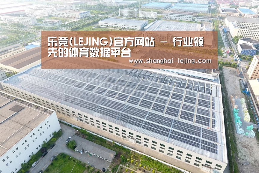 案例展示四